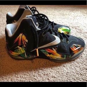 Men’s Lebron Everglades